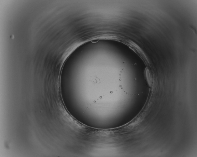 X0000100230860200806061407