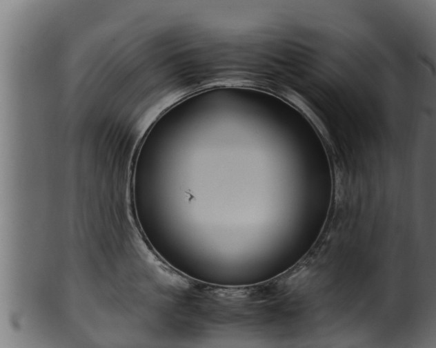 X0000100230861200806061407