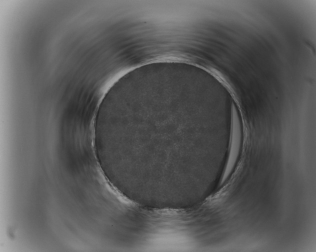 X0000100230862200806061407