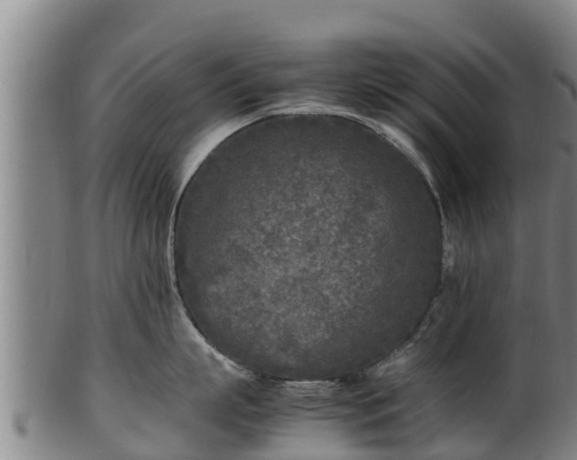 X0000100230863200806061407