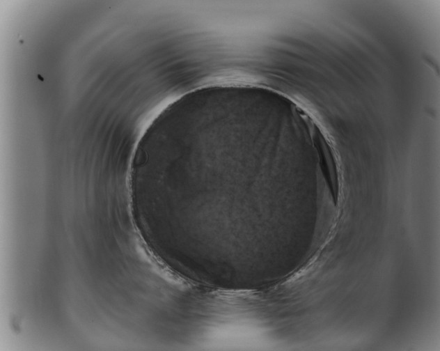 X0000100230864200806061407