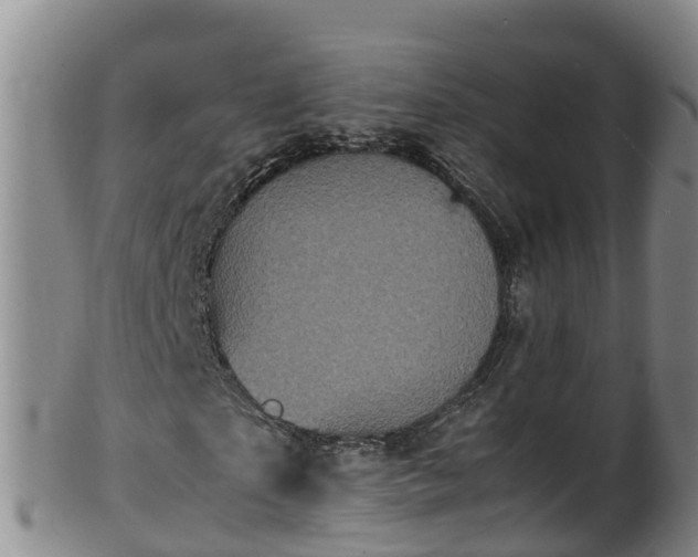 X0000100230865200806061407