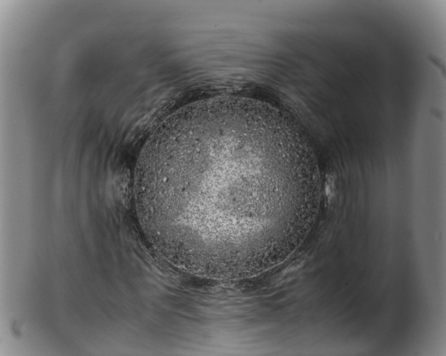 X0000100230867200806061407