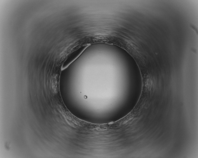 X0000100230868200806061407