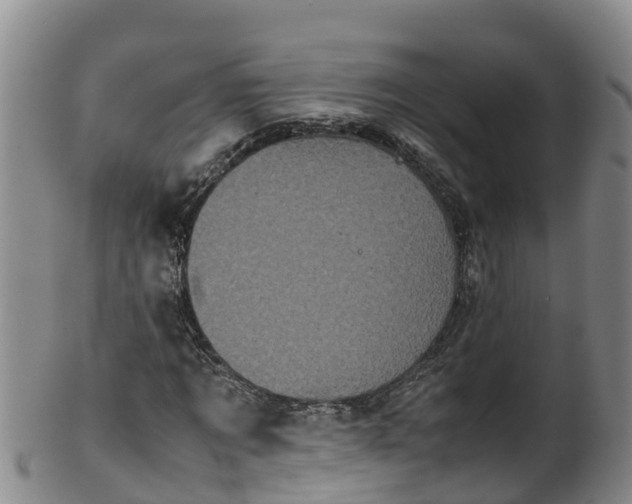 X0000100230869200806061407