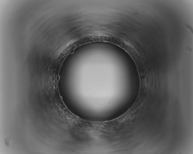 X0000100230870200806061407