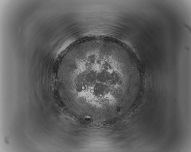 X0000100230871200806061407