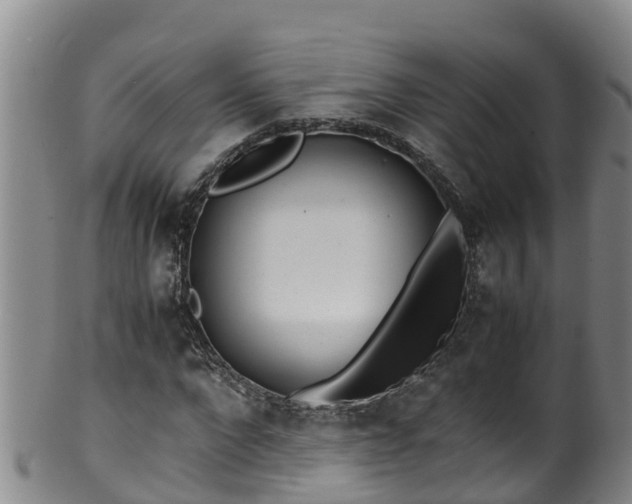 X0000100230872200806061407