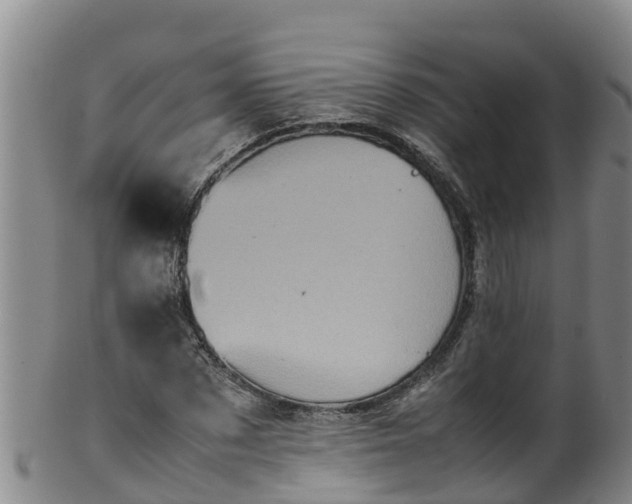 X0000100230873200806061407