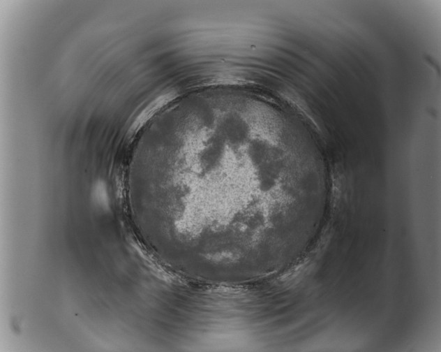 X0000100230874200806061407