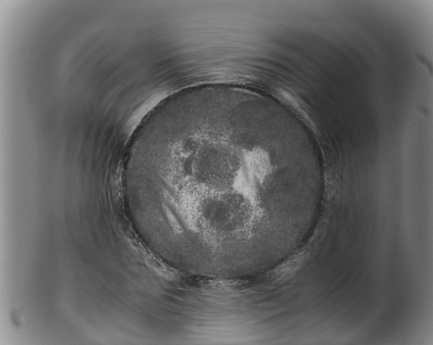 X0000100230875200806061407