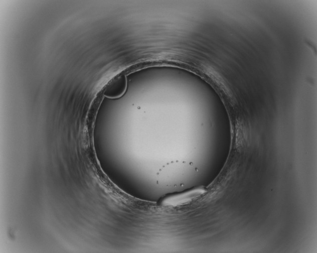 X0000100230876200806061406