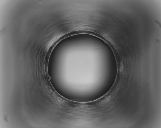 X0000100230877200806061406