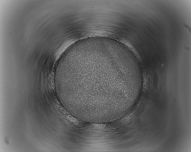 X0000100230878200806061406