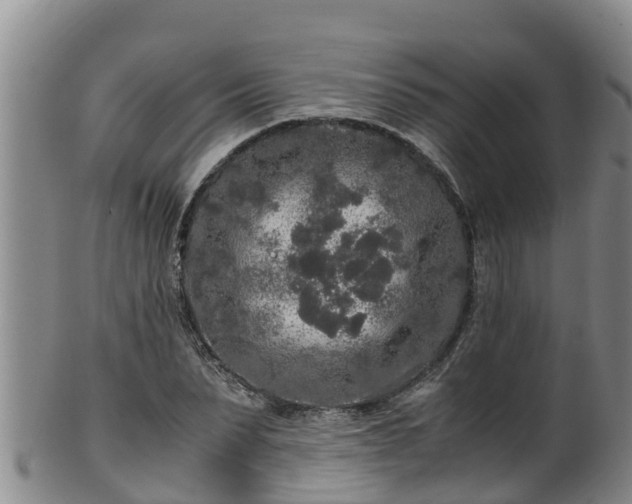 X0000100230879200806061406