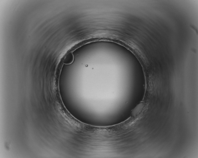 X0000100230880200806061406