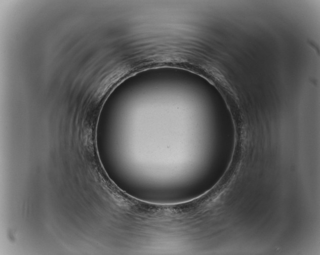 X0000100230881200806061406