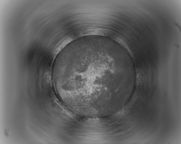 X0000100230882200806061406