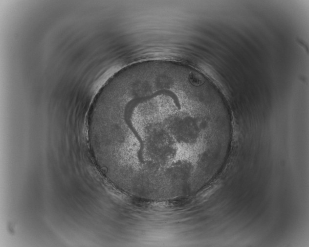 X0000100230883200806061406