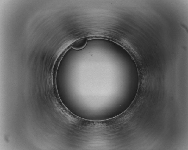 X0000100230884200806061406