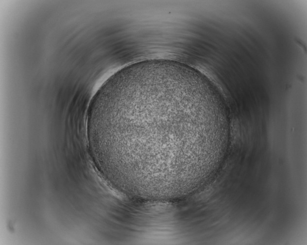 X0000100230886200806061406