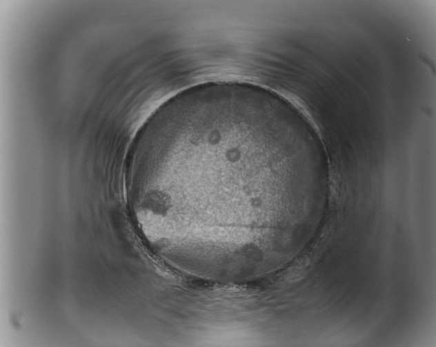 X0000100230887200806061406