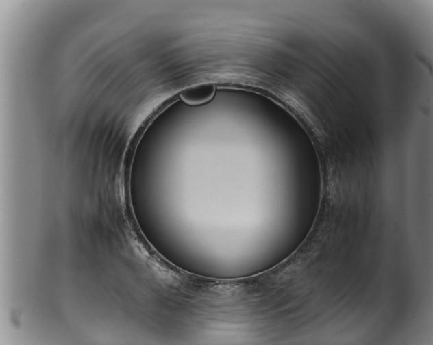 X0000100230888200806061406