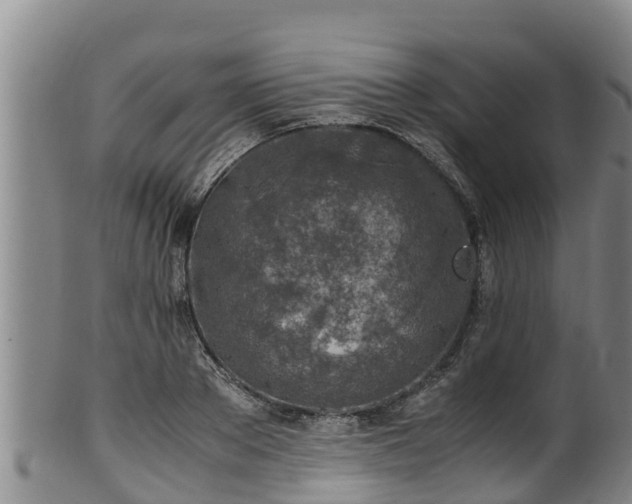 X0000100230889200806061406