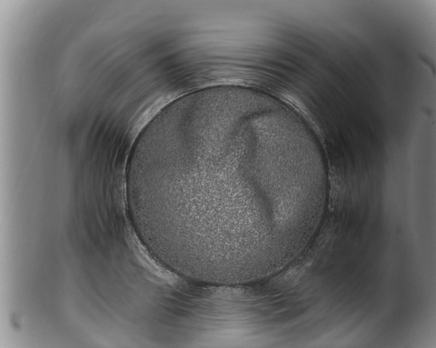 X0000100230890200806061406