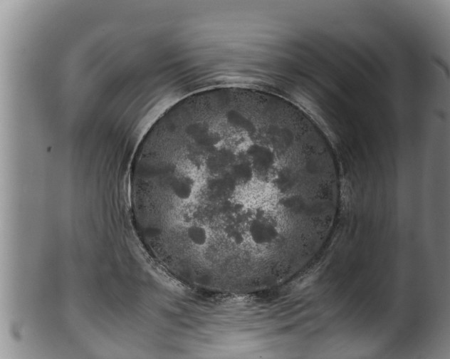 X0000100230891200806061406