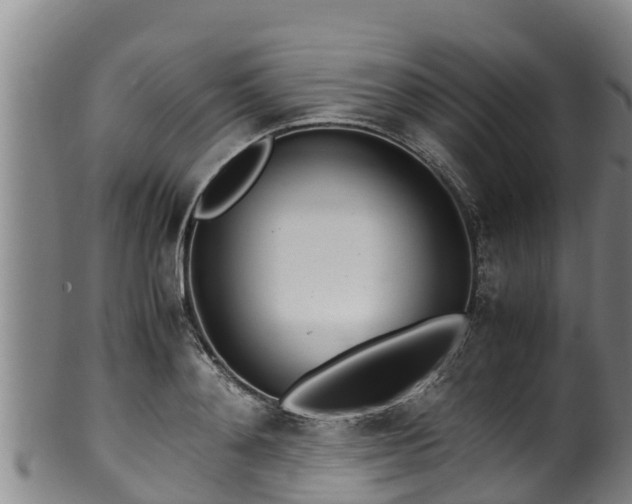 X0000100230892200806061406