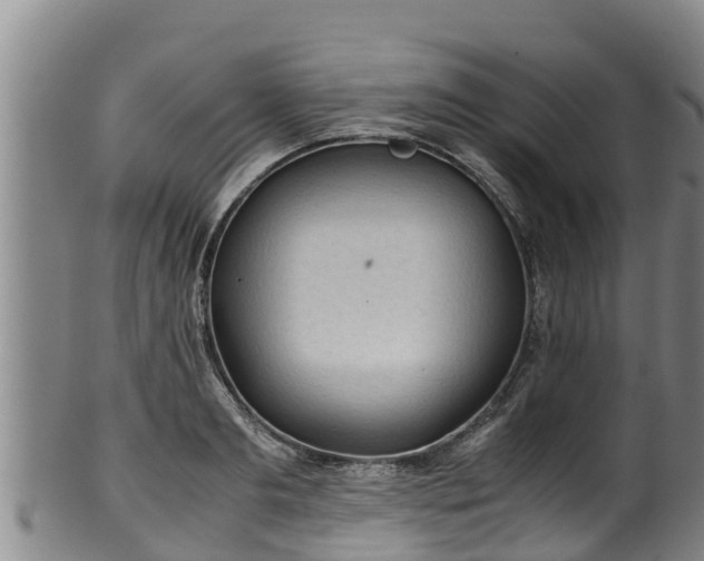 X0000100230893200806061406