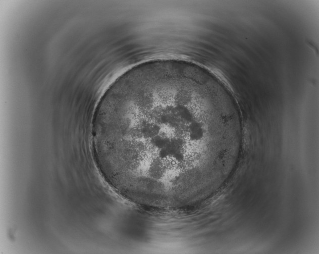 X0000100230895200806061406