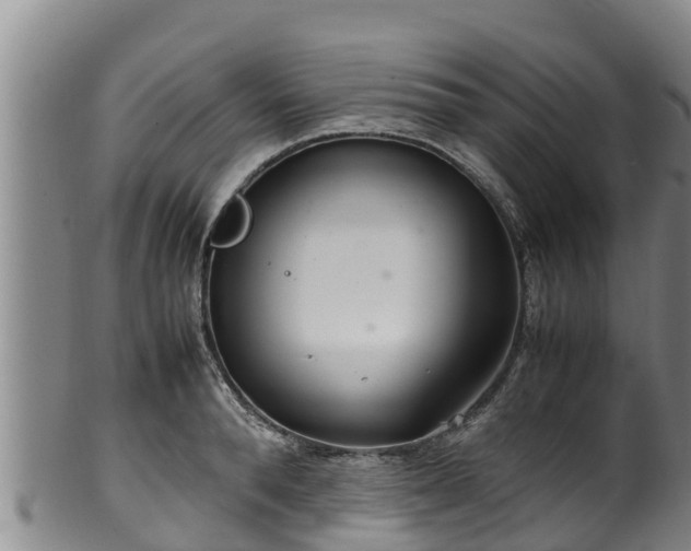 X0000100230896200806061406