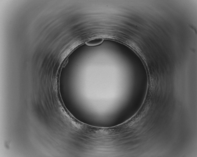 X0000100230898200806061406