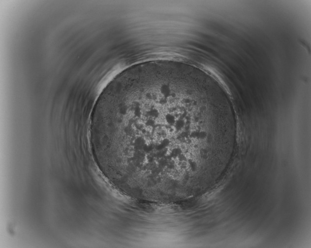 X0000100230899200806061406