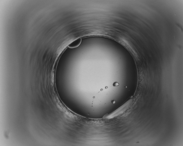 X0000100230900200806061406