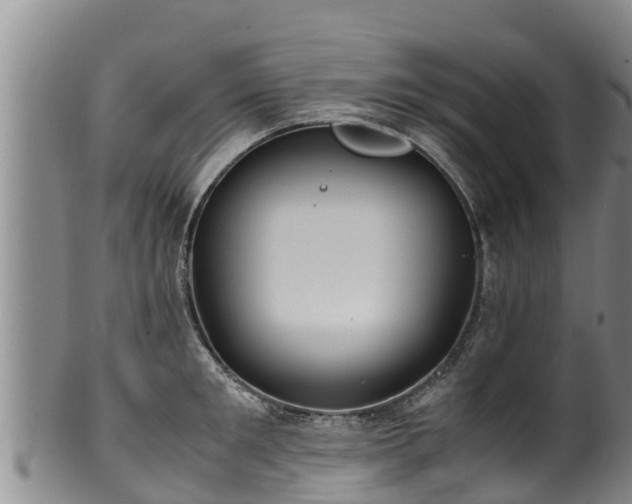 X0000100230901200806061406