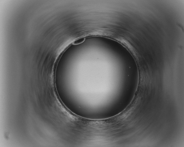 X0000100230902200806061406