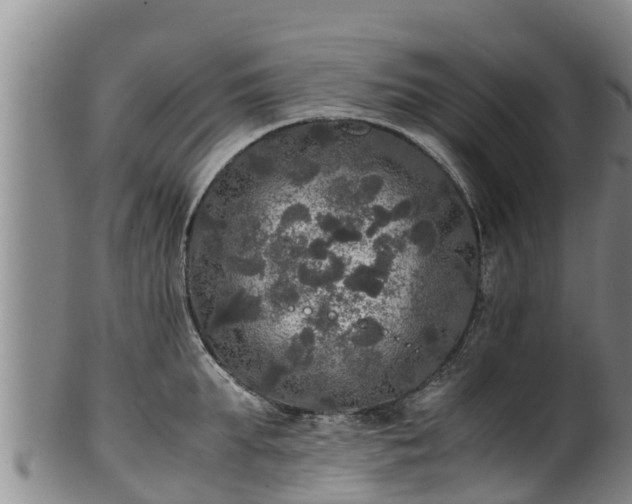 X0000100230903200806061406