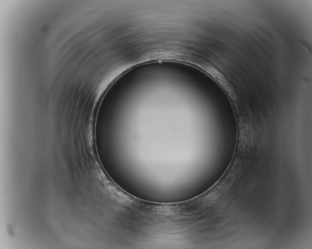 X0000100230904200806061406