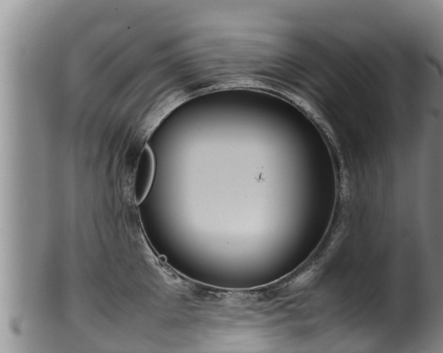 X0000100230905200806061406