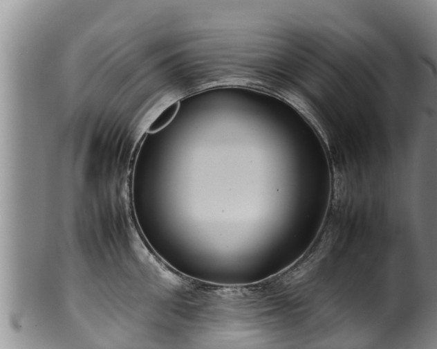 X0000100230906200806061406