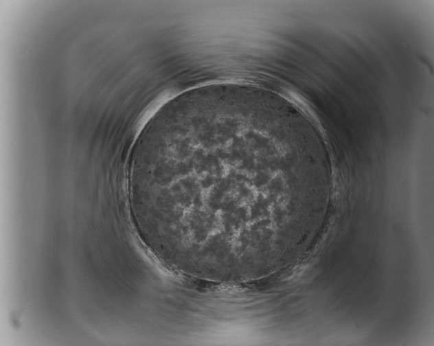 X0000100230907200806061406