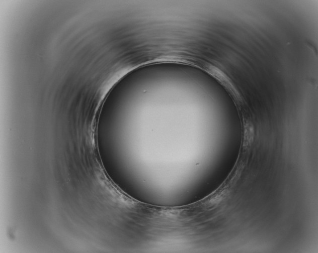 X0000100230908200806061406