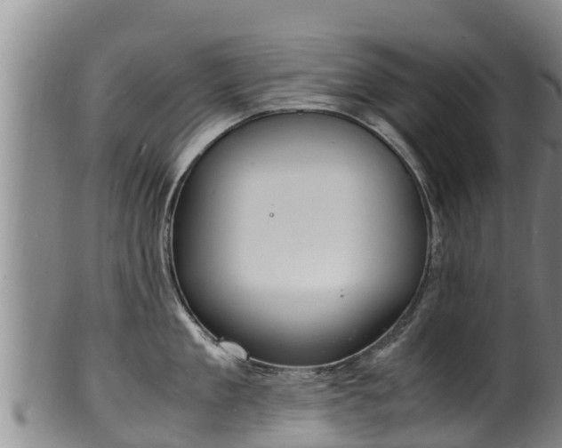 X0000100230909200806061406