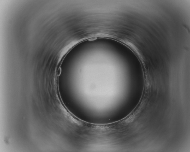 X0000100230910200806061406