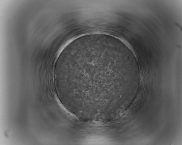 X0000100230911200806061406