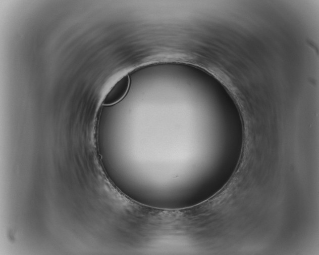 X0000100230912200806061406