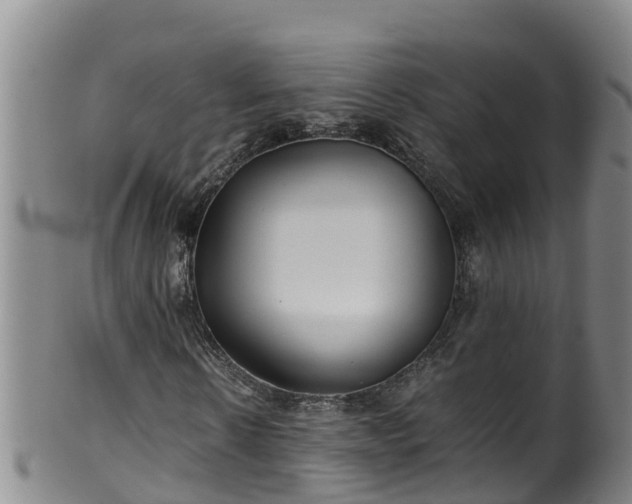 X0000100230914200806061405